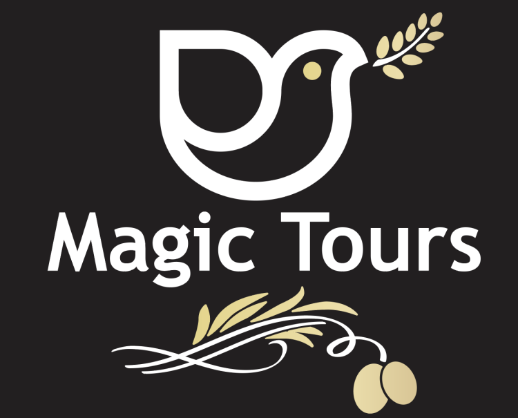 MAGIC EVENT & WINE TOURS **** 415-524-6867 .SPRINTER VANS and Sedans. call or text 24/7. Napa, Sonoma, SF Bay Events. Best Rates. Magictoursnapa@yahoo.com